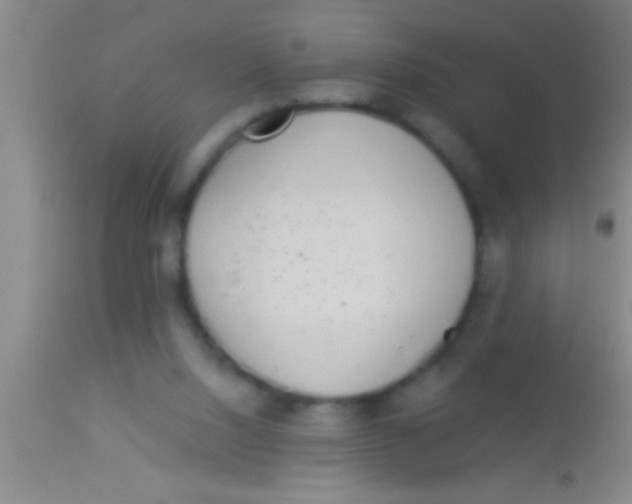 X0000113940064200910161925