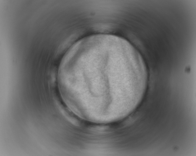 X0000113940065200910161925