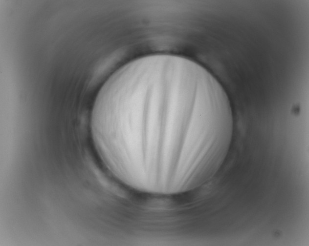 X0000113940066200910161925