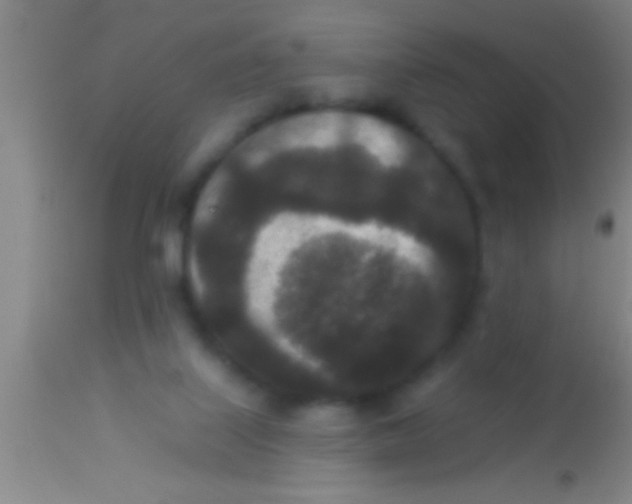 X0000113940067200910161925