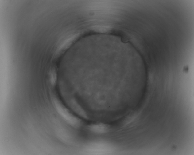 X0000113940069200910161925