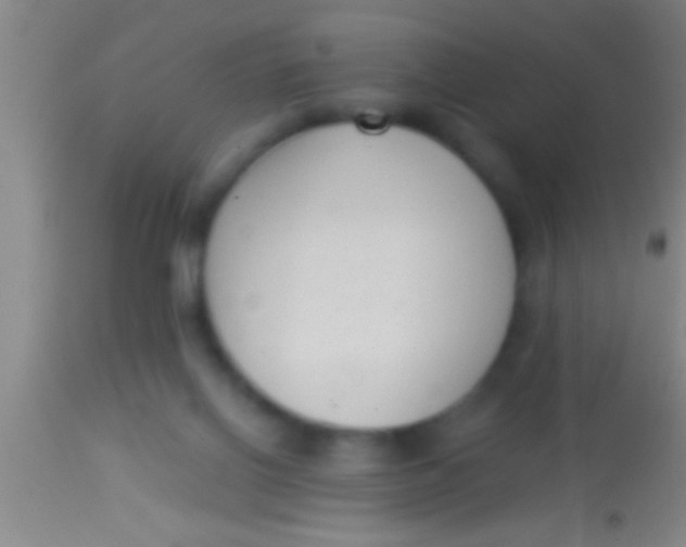 X0000113940070200910161925