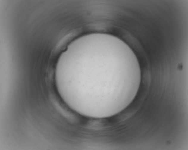 X0000113940072200910161925