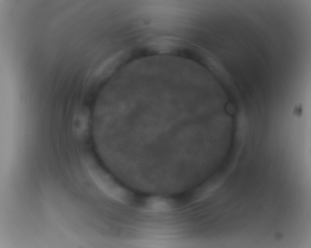 X0000113940073200910161925