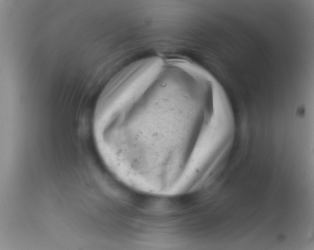 X0000113940074200910161925