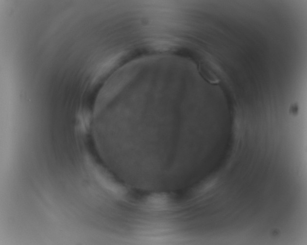 X0000113940076200910161925