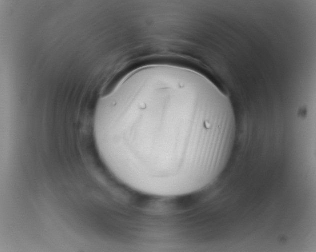 X0000113940078200910161925
