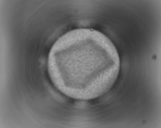X0000113940079200910161925