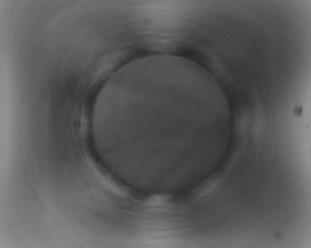 X0000113940080200910161925