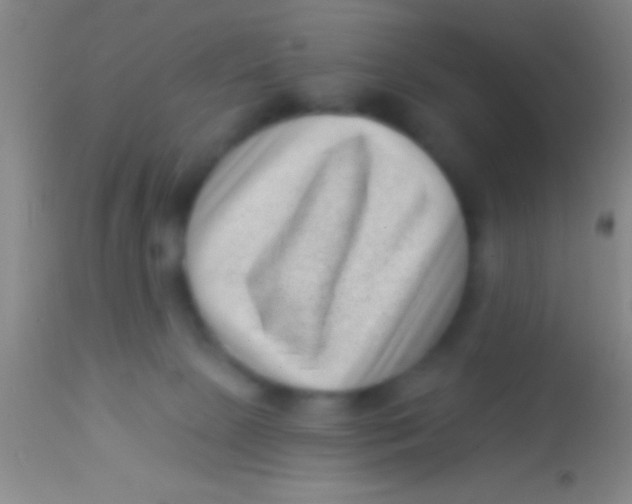 X0000113940081200910161925