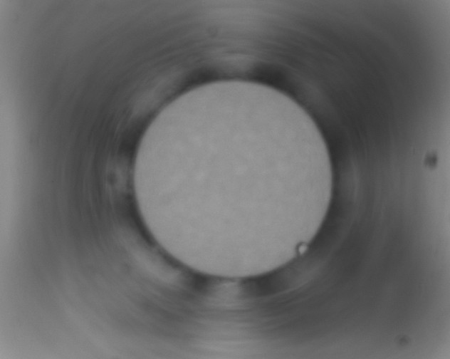 X0000113940083200910161925