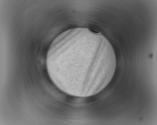 X0000113940084200910161925