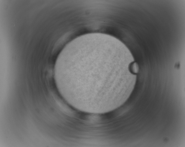 X0000113940085200910161925