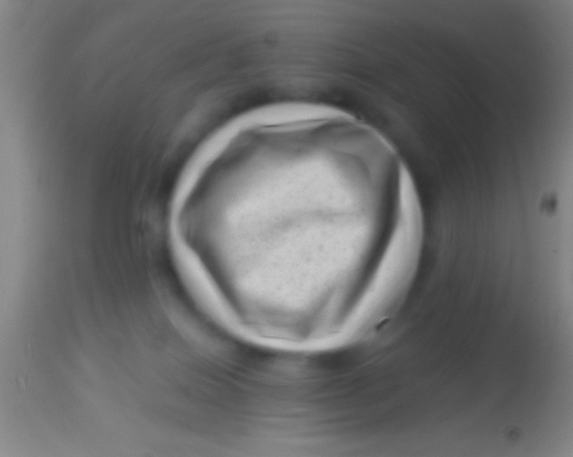X0000113940086200910161925