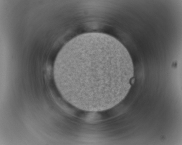 X0000113940087200910161925