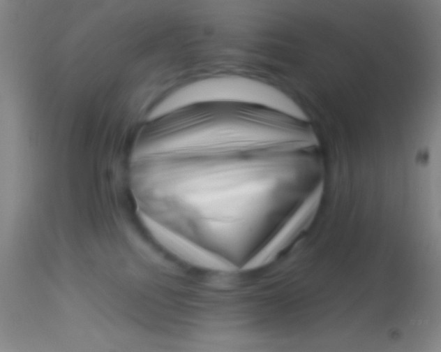 X0000113940088200910161925