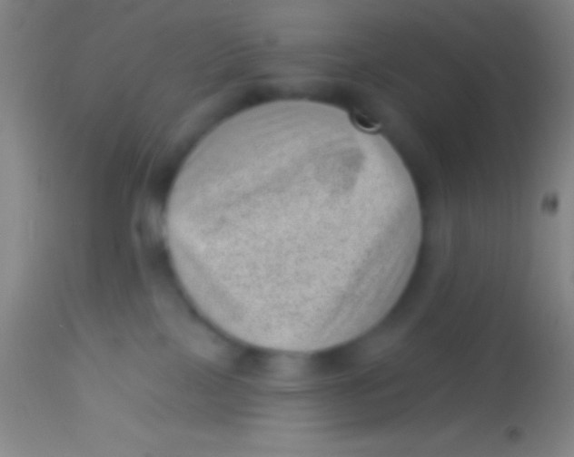 X0000113940089200910161925