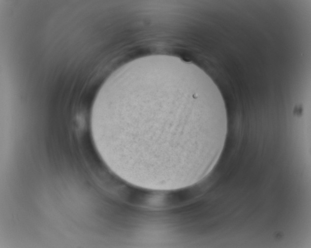 X0000113940090200910161925