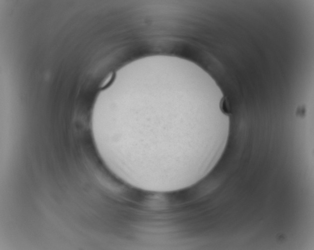 X0000113940091200910161925
