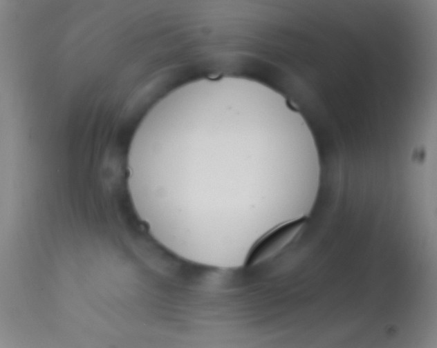 X0000113940092200910161925