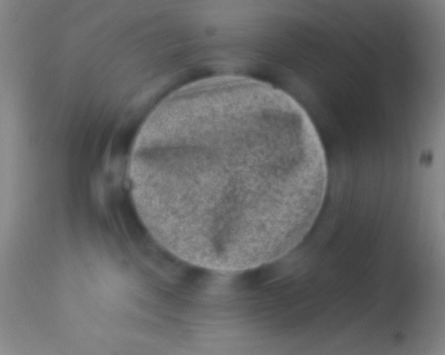 X0000113940093200910161925