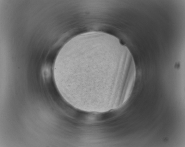 X0000113940094200910161925