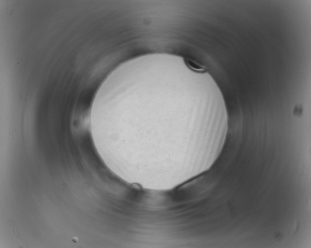 X0000113940095200910161925