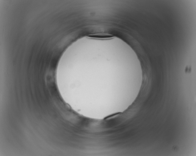 X0000113940096200910161925