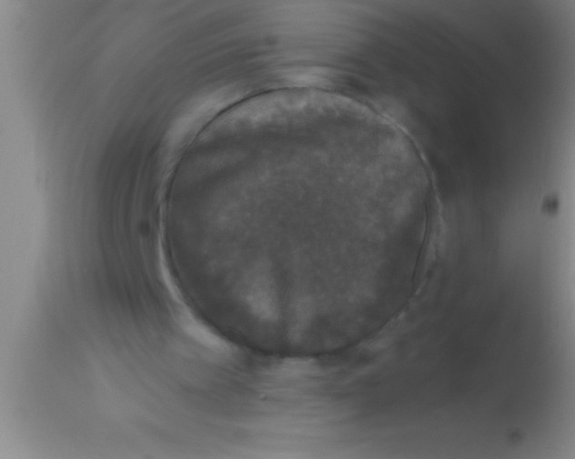 X0000113940097200910161924