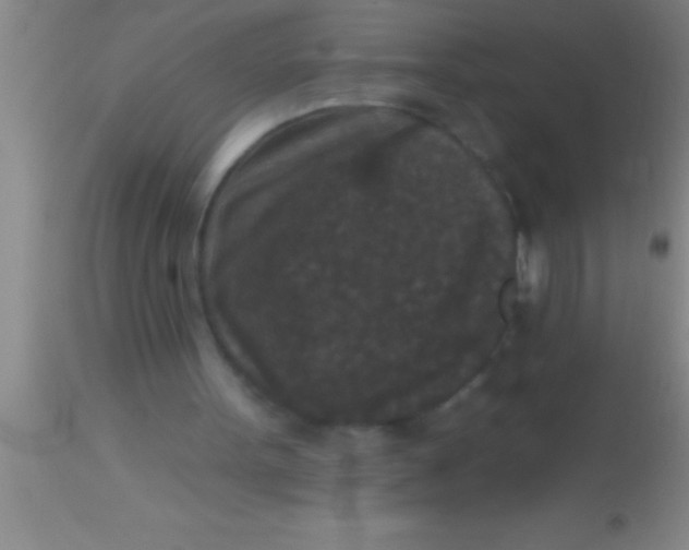 X0000113940099200910161924
