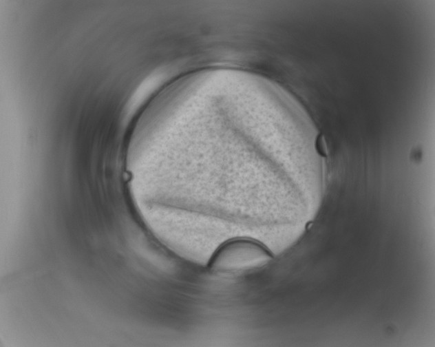 X0000113940102200910161924