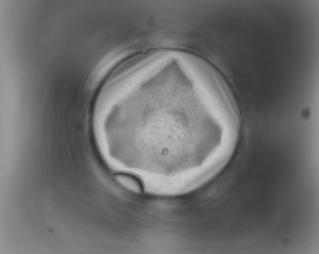 X0000113940103200910161924