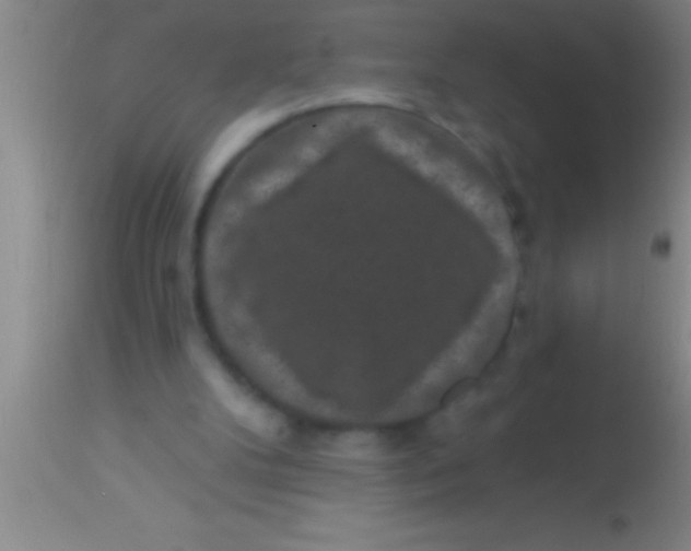 X0000113940104200910161924