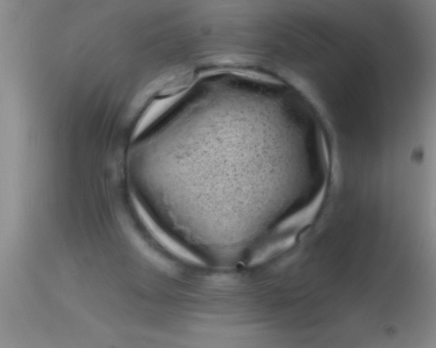 X0000113940105200910161924