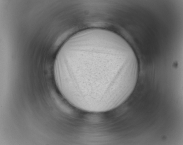 X0000113940106200910161924