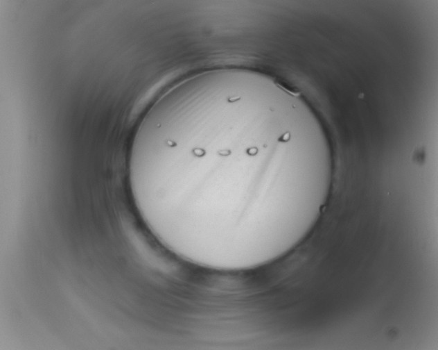 X0000113940107200910161924