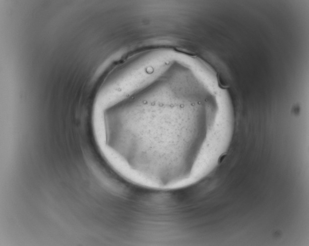 X0000113940108200910161924
