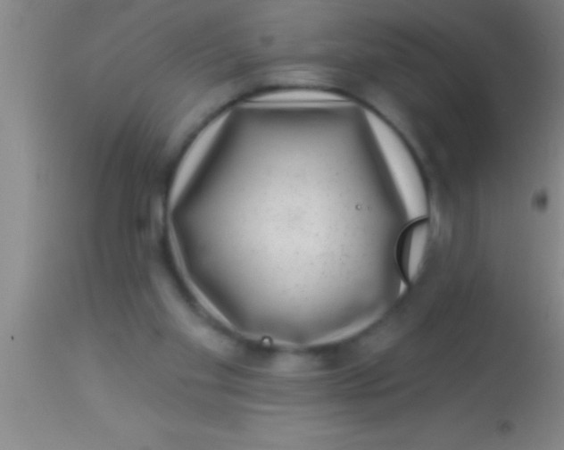 X0000113940109200910161924