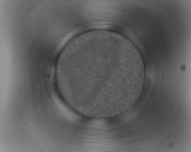 X0000113940110200910161924