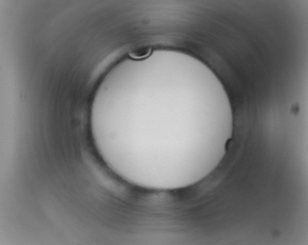 X0000113940112200910161924