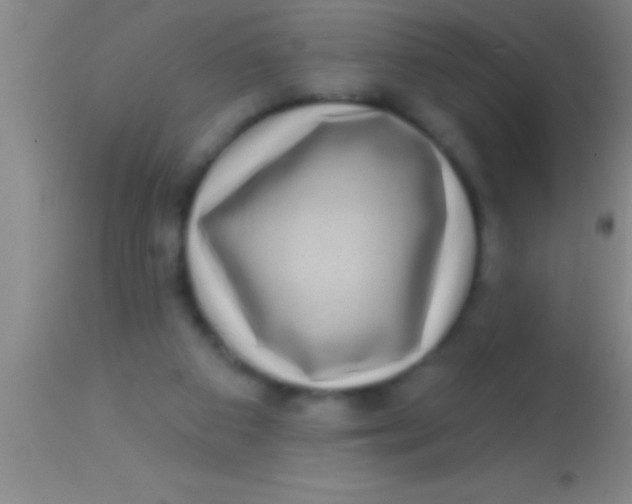 X0000113940113200910161924