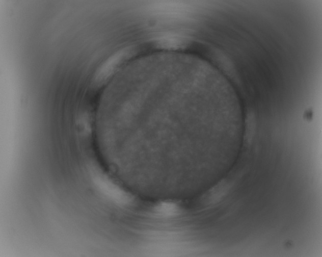 X0000113940114200910161924