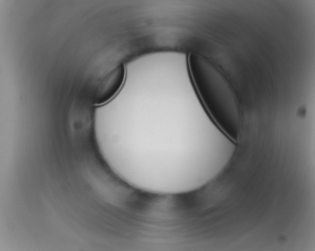 X0000113940116200910161924
