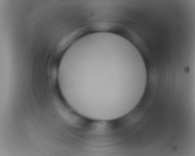 X0000113940118200910161924