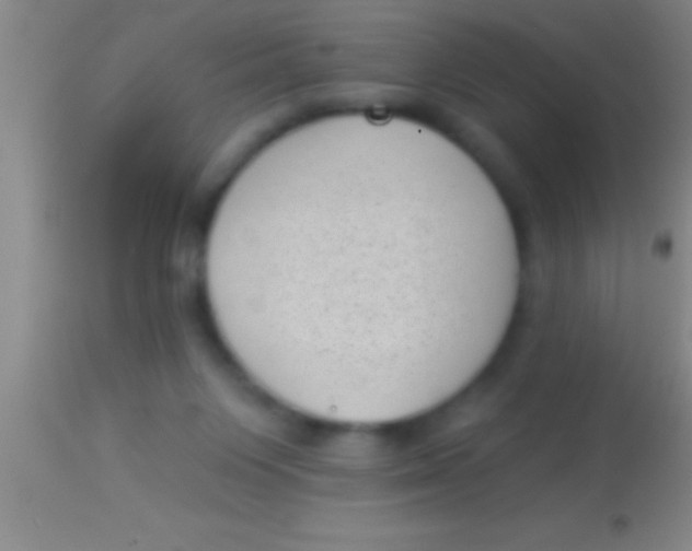 X0000113940119200910161924