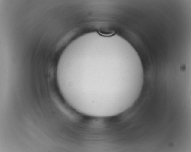 X0000113940120200910161924