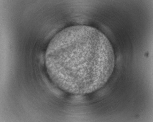 X0000113940121200910161924