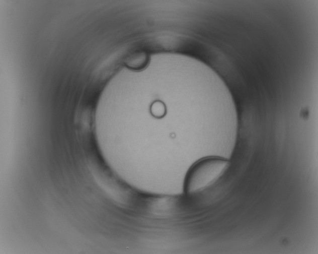 X0000113940122200910161924