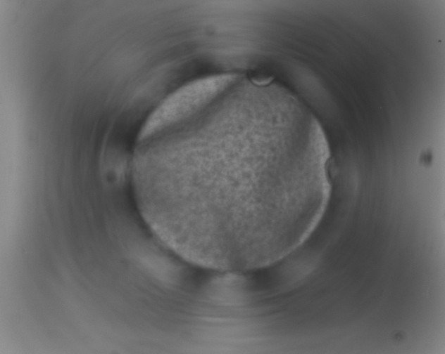 X0000113940125200910161924