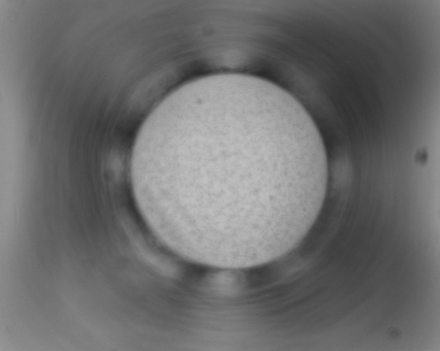 X0000113940126200910161924